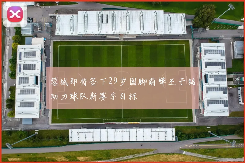 蓉城即将签下29岁国脚前锋王子铭助力球队新赛季目标