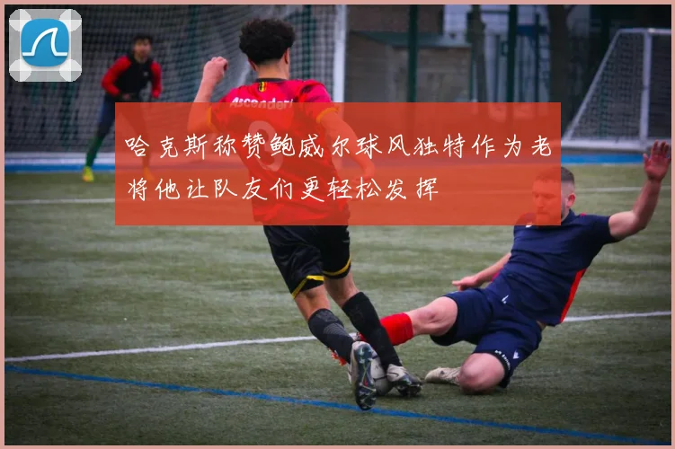 哈克斯称赞鲍威尔球风独特作为老将他让队友们更轻松发挥