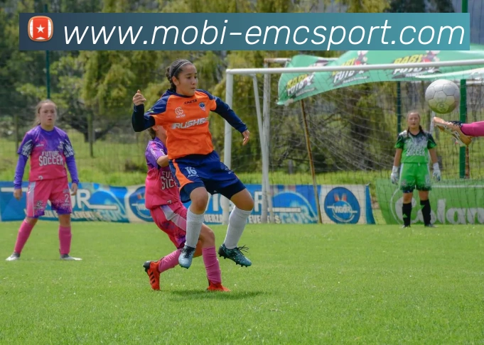 易倍体育APP 封面图