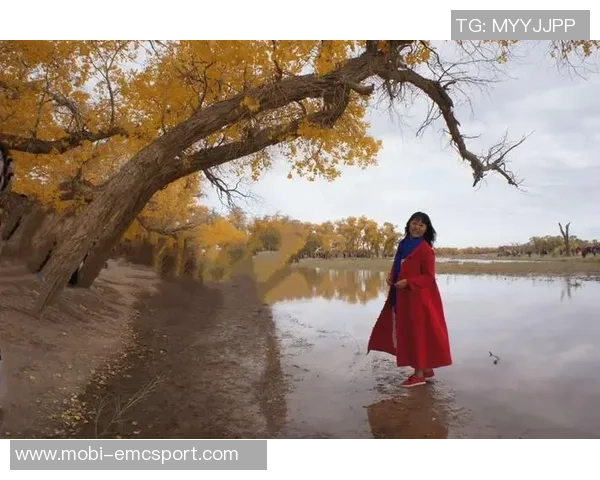 追梦西部挑战虽艰难但我们与湖船携手共创辉煌争夺冠军